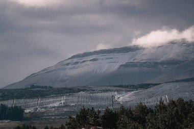 Güney Afrika, Matroosberg 'deki gri gökyüzüne karşı kar kayalıklarının altındaki ağaçların güzel manzarası.
