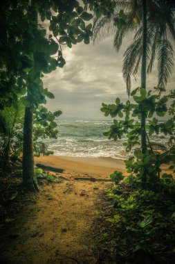 Manzanillo, Limon, Kosta Rika kıyısında fırtınalı bir gökyüzünün dikey görüntüsü