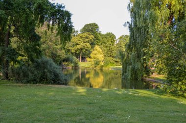 Paris 'te gölet suyu ve ağaçlı, açık gökyüzü olan yeşil çimenlerin güzel bir görüntüsü.