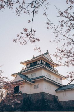 Dalın arkasındaki Wakayama Kalesi 'nin panoramik görüntüsü