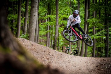 A closeup of a person riding a bicycle in a forest