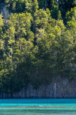 Sakin göl ve yeşil ağaçların dikey çekimi