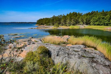 Mavi gökyüzüne karşı yeşil bitki örtüsü olan güzel deniz manzarası. İsveç.