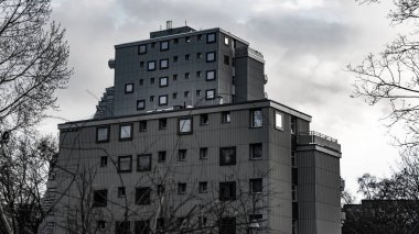 Berlin 'de çıplak bir ağacın yanında cam pencereli bir binanın gri tonlu görüntüsü.