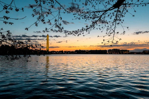 Plan Relaxant Réservoir Bassin Des Marées Monument Washington Loin Pendant — Photo