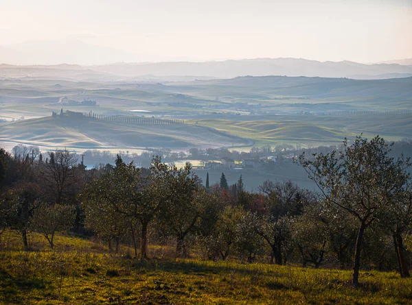 フィールドと山の景色 フランチェーナ経由 トスカーナ州 イタリア — ストック写真