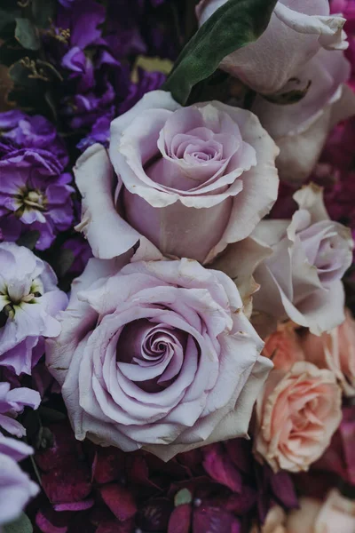 Primer Plano Hermosas Flores Rosas — Foto de Stock
