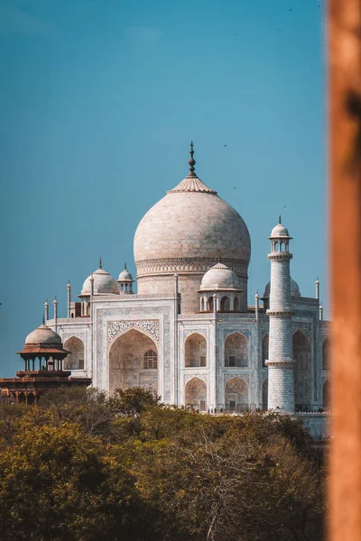 Plano Vertical Del Mausoleo Taj Mahal Bajo Cielo Azul Agra — Foto de Stock