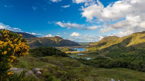 Luftaufnahme Eines Ruhigen Sees Umgeben Von Grünen Hügeln Der Irischen — Stockfoto
