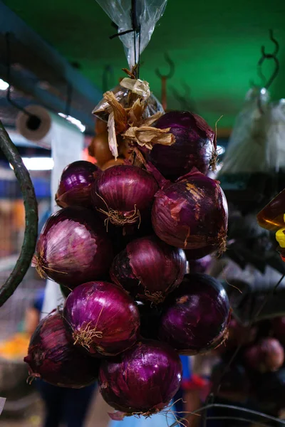 Vertical Shot Bunch Purple Onion Hanging Ceiling — Stock Photo, Image
