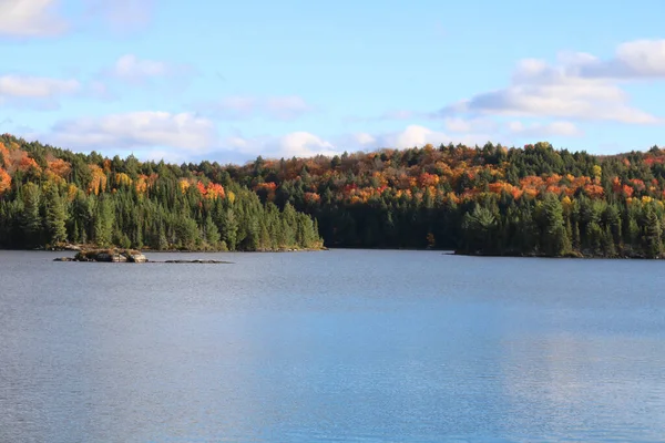 Primer Plano Lago Con Bosque Fondo —  Fotos de Stock