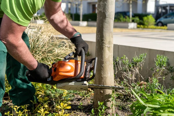 Closeup Male Hands Cutting Tree Chainsaw — Stock Photo, Image