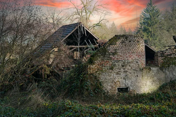 Uma Velha Casa Abandonada Rodeada Árvores — Fotografia de Stock