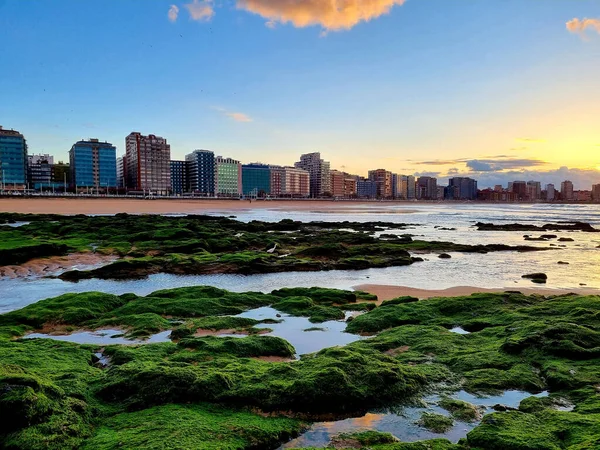 Kameny Pokryté Mechem Pláži Městským Panoramatem Modrou Oblohou Pozadí — Stock fotografie