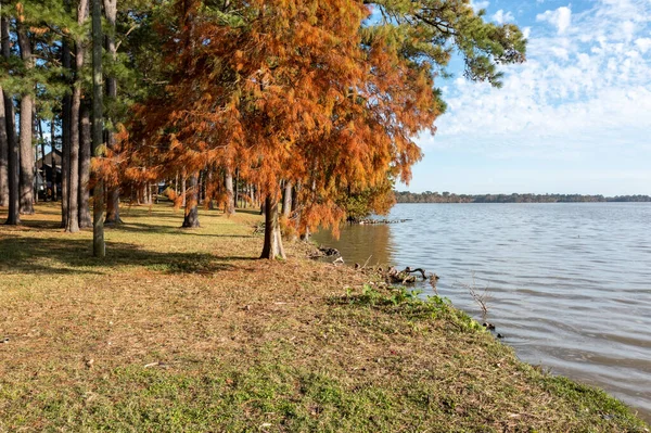 Une Vue Panoramique Sur Plage Automne — Photo