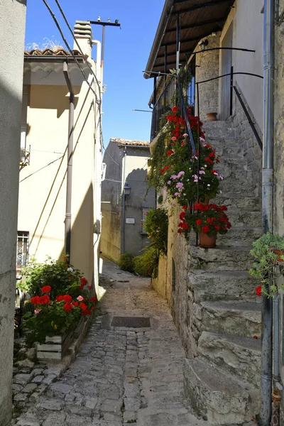 Svislý Záběr Ulice Riccii Vesnici Oblasti Molise Itálii — Stock fotografie