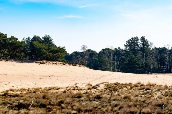 A beautiful shot of a natural reserve area