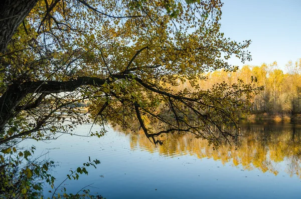 Осенняя Панорама Искусственное Озеро Бегецка Яма Недалеко Города Нови Сад — стоковое фото