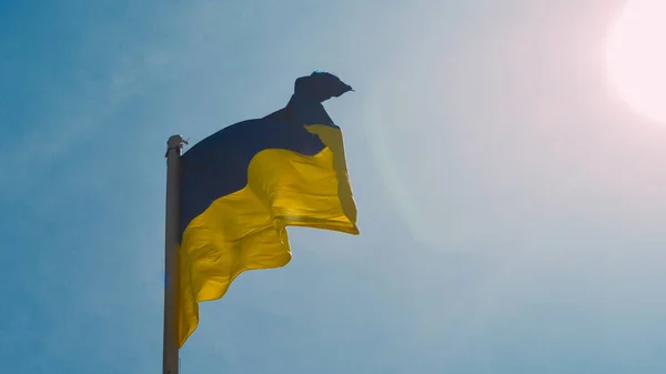 Zbliżenie Ukraińskiej Flagi Bezchmurnym Błękitnym Tle Nieba — Zdjęcie stockowe