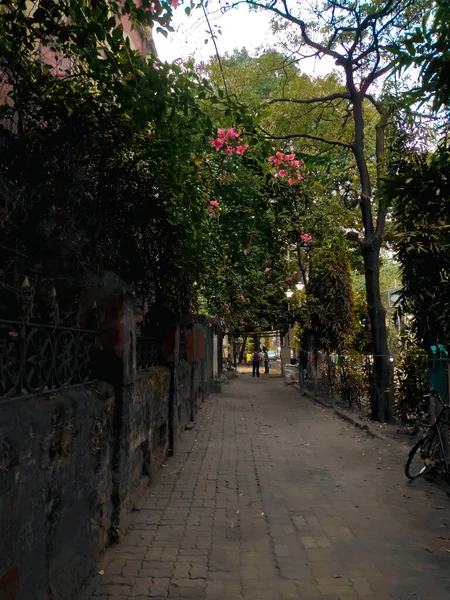 Shot Path Way Parked Bicycle Spring Flowers Trees — Stock Photo, Image