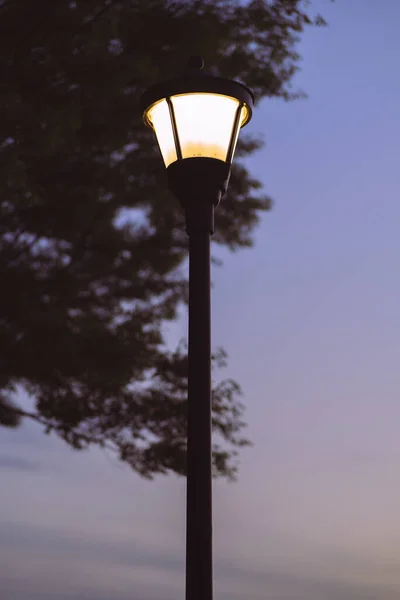 Függőleges Felvétel Egy Kivilágított Utcai Lámpáról Szabadban — Stock Fotó