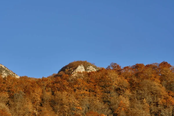 Hermoso Paisaje Pico Montaña Otoño Cubierto Colorido Bosque Rumania —  Fotos de Stock