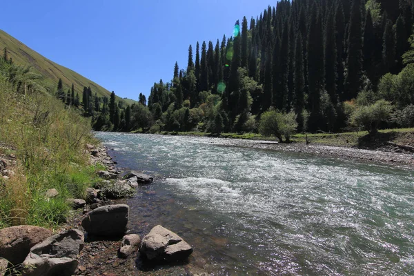 Nahaufnahme Eines Schnell Fließenden Flussbaches Mit Seidigem Wasser Wald — Stockfoto