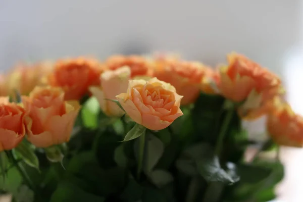 Zbliżenie Pięknego Kwiatowego Bukietu Pomarańczowymi Różami — Zdjęcie stockowe