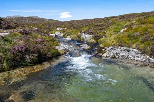 Cairngorms, İskoçya 'nın Balmoral bölgesindeki Glas Allt nehrinin Loch Muick' e uzanan güzel manzarası.