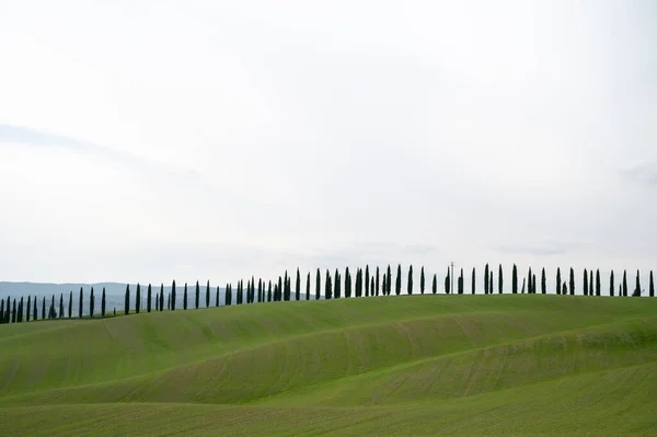 Een Schilderachtig Uitzicht Prachtige Velden Francigena Toscane Italië — Stockfoto