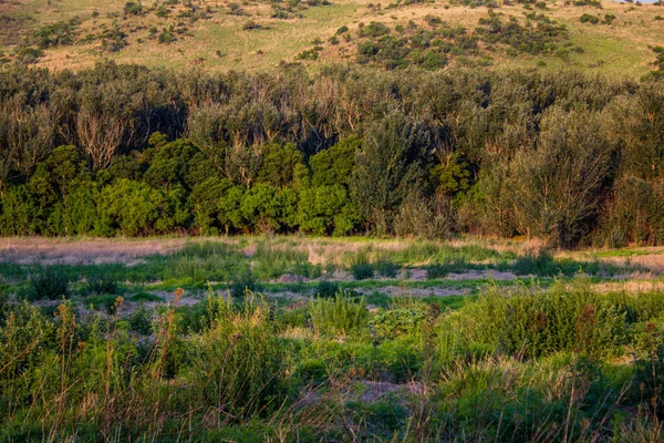 Uma Bela Vista Uma Paisagem Selvagem Nas Montanhas — Fotografia de Stock