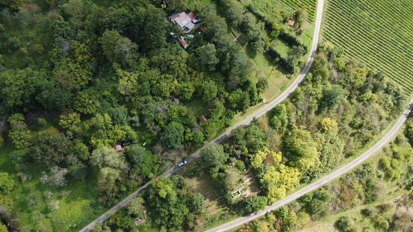 Pohled Ptačí Perspektivy Zelený Les Poblíž Zemědělských Plodin Asfaltovou Cestu — Stock fotografie