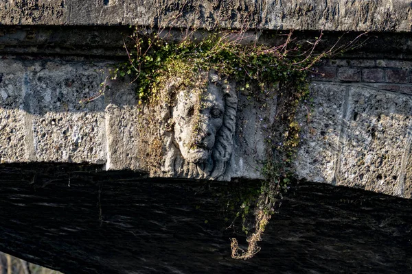 Close Shot Statue Lion Head Covered Plants Placed Bottom Part — Stock Photo, Image