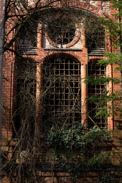 Una Fachada Frontal Edificio Ladrillo Cubierto Plantas Verdes — Foto de Stock