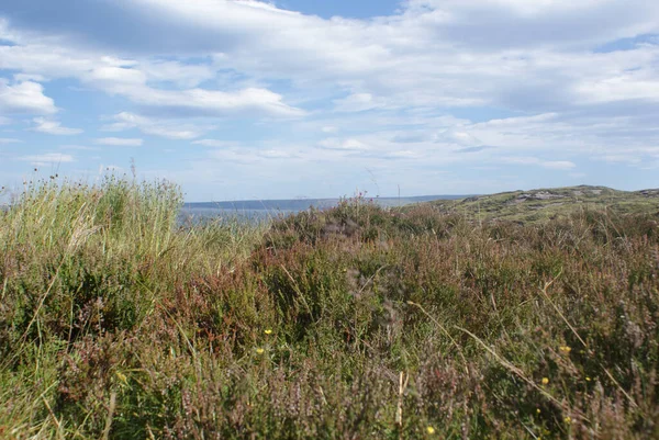 Een Grasland Aan Een Baai Schotland Een Zonnige Bewolkte Dag — Stockfoto