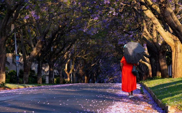 春の花の咲く通りを歩く赤いドレスを着た女性の後ろ姿 — ストック写真
