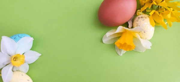 Een Foto Van Gele Struikbloemen Een Kippenei Groene Gele Paaseieren — Stockfoto