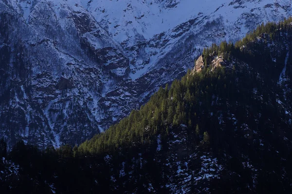 Malebný Pohled Hory Pokryté Sněhem Jedlovým Lesem Jasného Dne — Stock fotografie