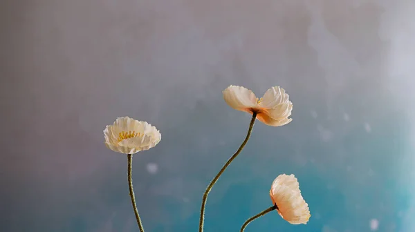 Lebendige Maismohn Isoliert Auf Einem Bunten Hintergrund — Stockfoto