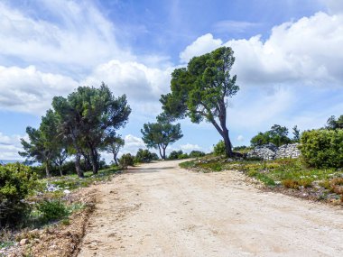 Mavi bulutlu gökyüzünün altında dolambaçlı dar bir kırsal yol