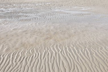 Sahildeki kumların üzerinde güzel çizgiler ve desenler.