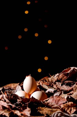 Yerdeki çiğ yumurta ve kuru yapraklarla süslenmiş güzel bir sonbahar süsü.