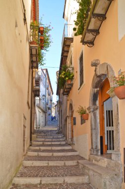 İtalya 'nın Basilicata bölgesinde, Rivello' da eski evler ve bitkilerle dolu dar bir sokak.