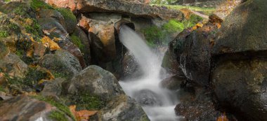 Letonya 'daki Bastejkalns Parkı' nda güneşli bir yaz günü.