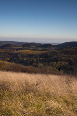 Arka planda kurumuş çim tarlası ve dağların dikey görüntüsü.