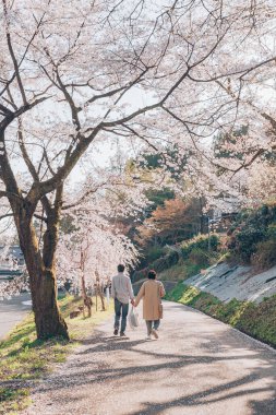 Bahar parkındaki aşıkların panoramik görüntüsü