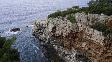 Mavi deniz manzaralı yeşil ağaçlarla kaplı kayalık uçurumların manzarası