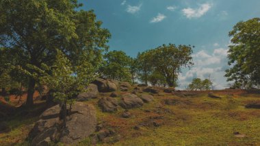 Abuja, Nijerya 'da taşlı taşlı taşralı kahverengi bir park.