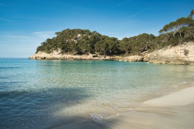 İspanya, Balearic Adaları, Menorca 'da sakin bir denize karşı yeşilliklerle kaplı kumlu bir sahil manzarası