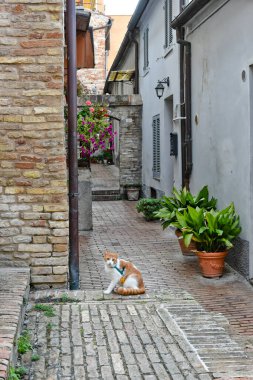 İtalya 'nın Marche bölgesinde bir ortaçağ kasabası olan Civitanova Alta' nın dar bir caddesi.